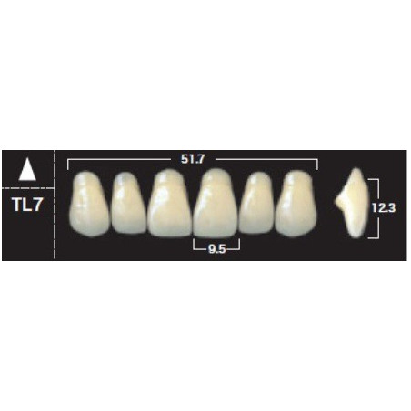 YM. NEW ACE ANTERIOR - AKRYLOWE ZĘBY ...