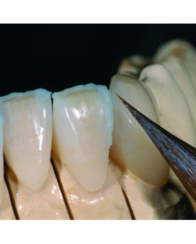 SML 5110 HOLDING GEL, 6 ML (PK/2)