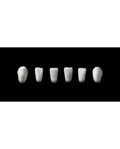 SML 2111 NEW ARCHITECT, SET DE 8 ANTE...