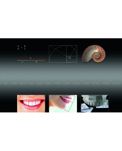SML 6010 GOLDEN SECTION DIVIDER & GRI...