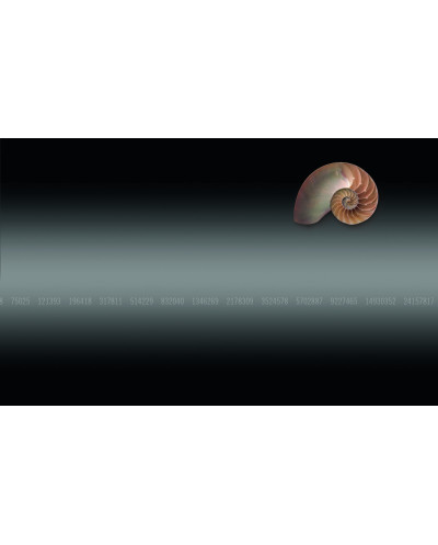 SML 6010 GOLDEN SECTION DIVIDER & GRI...