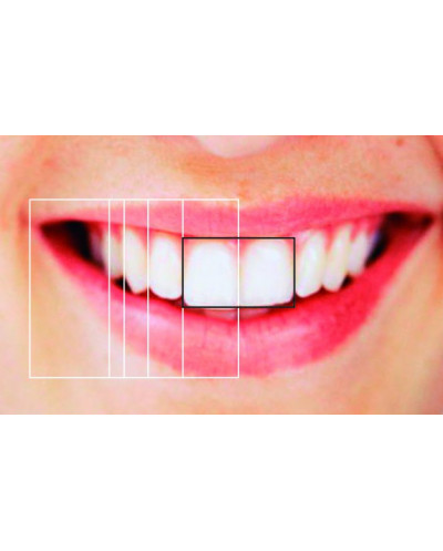 SML 6010 GOLDEN SECTION DIVIDER & GRI...