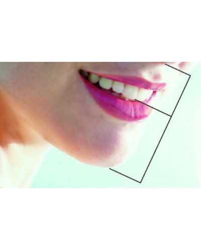 SML 6010 GOLDEN SECTION DIVIDER & GRI...