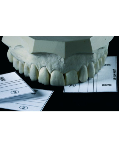 SML 6010 GOLDEN SECTION DIVIDER & GRI...