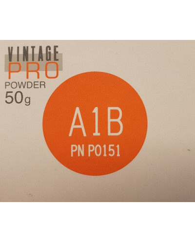 P0151 VINTAGE BODY A1B 50G