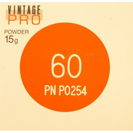 P0254 VINTAGE PRO INCISAL 15G 60