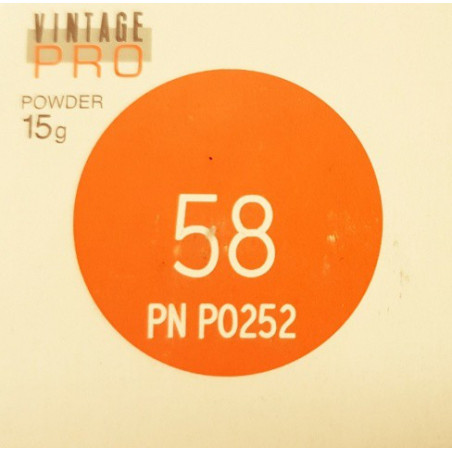 P0252 VINTAGE PRO INCISAL 15G 58