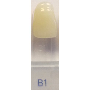 kolor B1