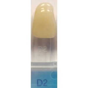 kolor D2